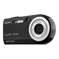 Sony Cyber-shot DSC-P120 Digital Camera picture